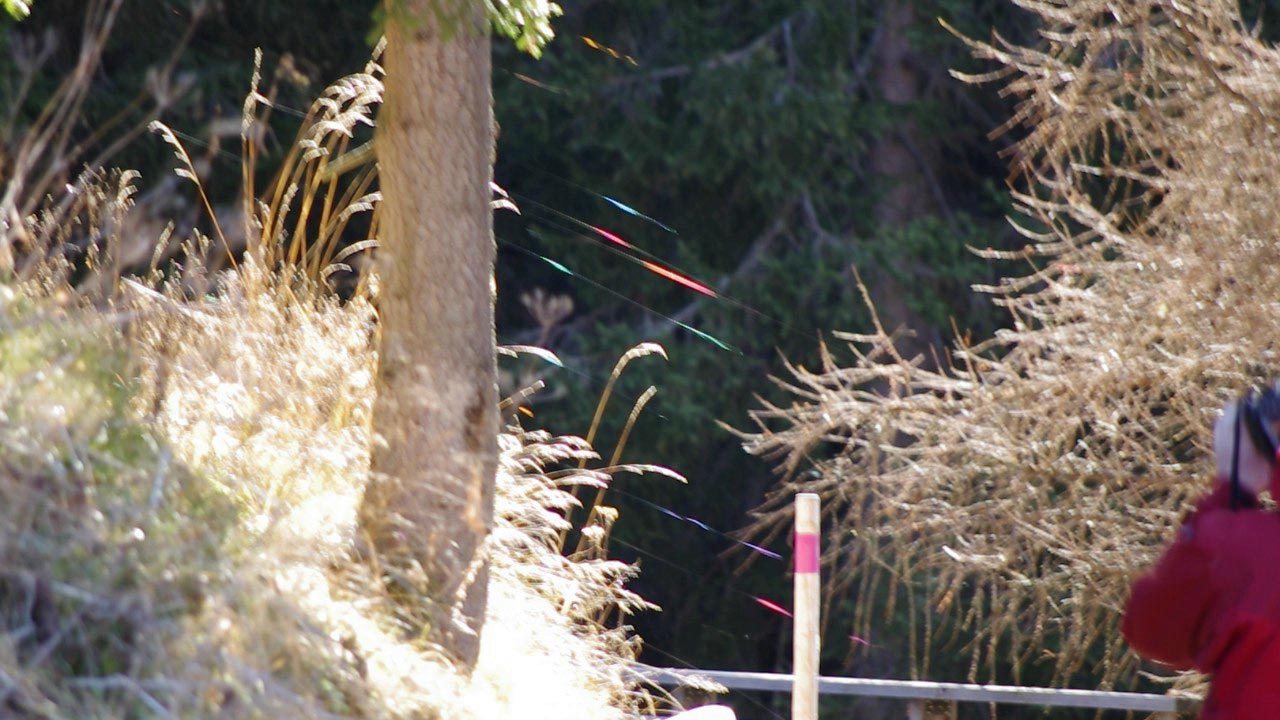 2012-11-24 - Irisieren an Spinnweben 2012-11-24 - Irisieren an Spinnweben